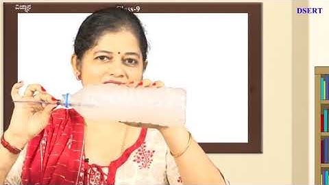 Bridge Course - Science - 9th - Day 13