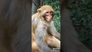 WA VID 20191220 1dc1b898