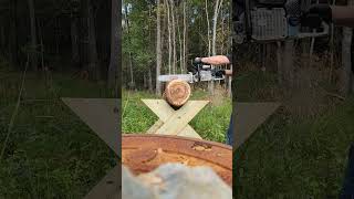 clonewars October Sawfest Prep chainsaw homesteading outdoorlife holzfforma stihl