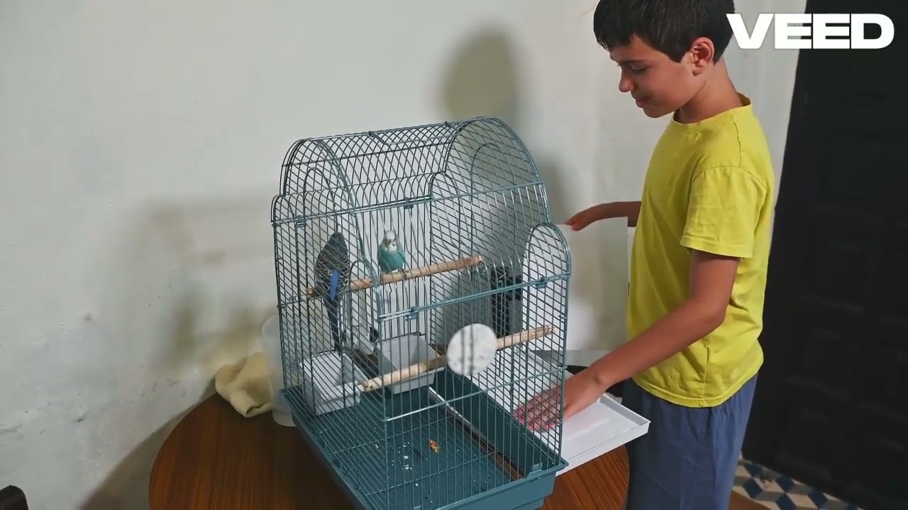 Live Virtuously  Inspire Change Every Day! VEED