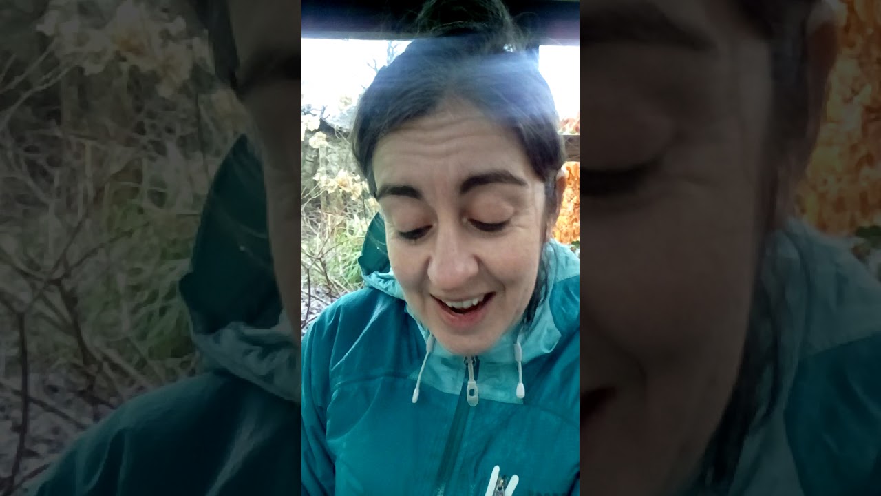 Jackdaw, Robert MacFarlane