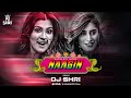 Naagin Remix DJ Shri Aastha Gill Akasa Vayu Puri 