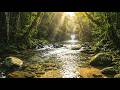 Deep Peace River ASMR 🌊 Pure Water Flow – No Rain No Music for Sleep &amp; Relaxation