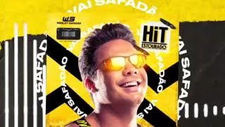 Wesley Safadão Tu Vai Rodar Hit estourado