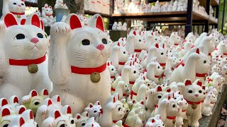 日本東京文化漫遊，探索寺廟神社和傳統美食｜🐈招財福貓