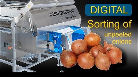 AGROSELECTOR Twin, sorting of unpeeled onions