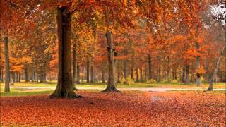 MANTOVANI - autumn leaves ( Mantovani Spectacular) chords