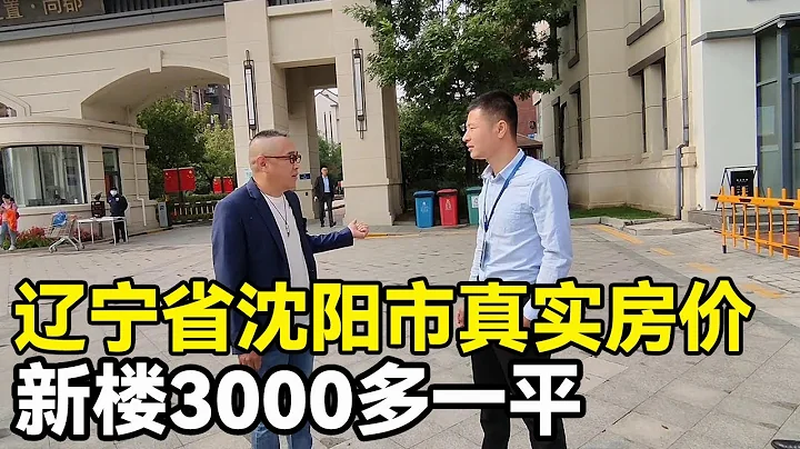 辽宁省沈阳市真实房价，沈北新区新楼3000多一平，实地探房现场谈价！【鬼头看房】 - 天天要闻