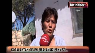 KOZALAKTAN GELEN ŞİFA: ANDIZ PEKMEZİ KOZALAKTAN GELEN ŞİFA: ANDIZ PEKMEZİ