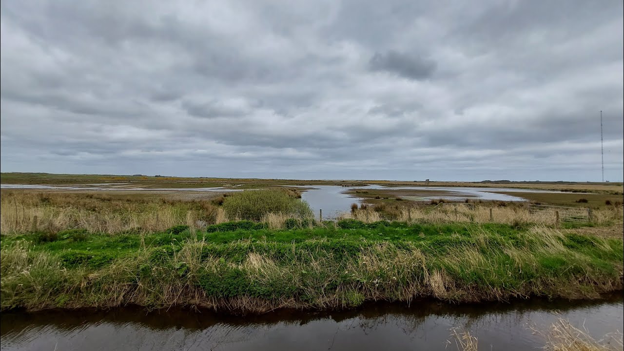 Loch of Strathbeg Kuş Cenneti | Scotland’s Hidden Wildlife Paradise