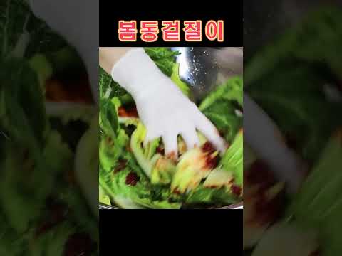 <strong>봄동겉절이</strong> 양념 재료
