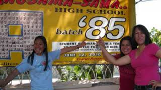 ICA Batch 85