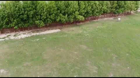 my beautiful village tando soomro