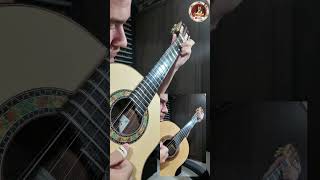 Vídeo de Força Esquecida