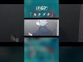カナヅチ - #雨宿り 1st ALBUM「傘をなくして」M05 #shorts