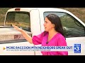Raccoon Mountain resident speaks out on water issues; his wells have collapsed three times