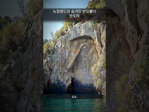 뉴질랜드의 숨겨진 반딧불이 판도라