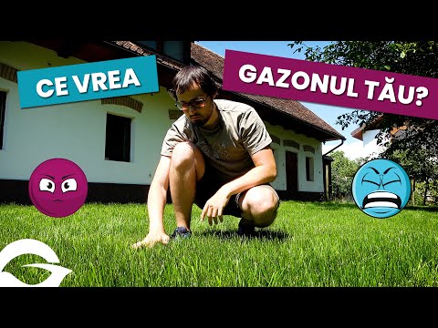 Video: Sfaturi De Căldură De Vară - Preveniți Deshidratarea