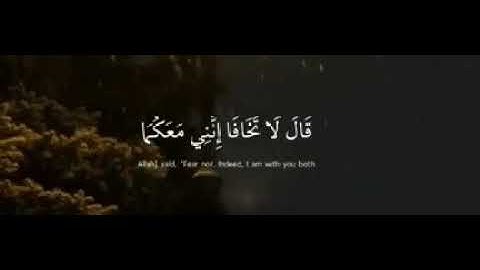 قالا ربنا اننا نخاف #shortvideo #اللهم_صل_وسلم_على_نبينا_محمد #تلاوات#آمين #عرفة