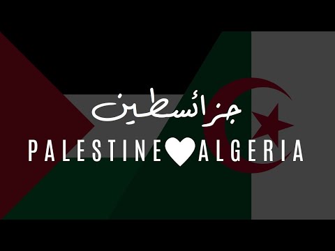    علم الجزائر وفلسطين