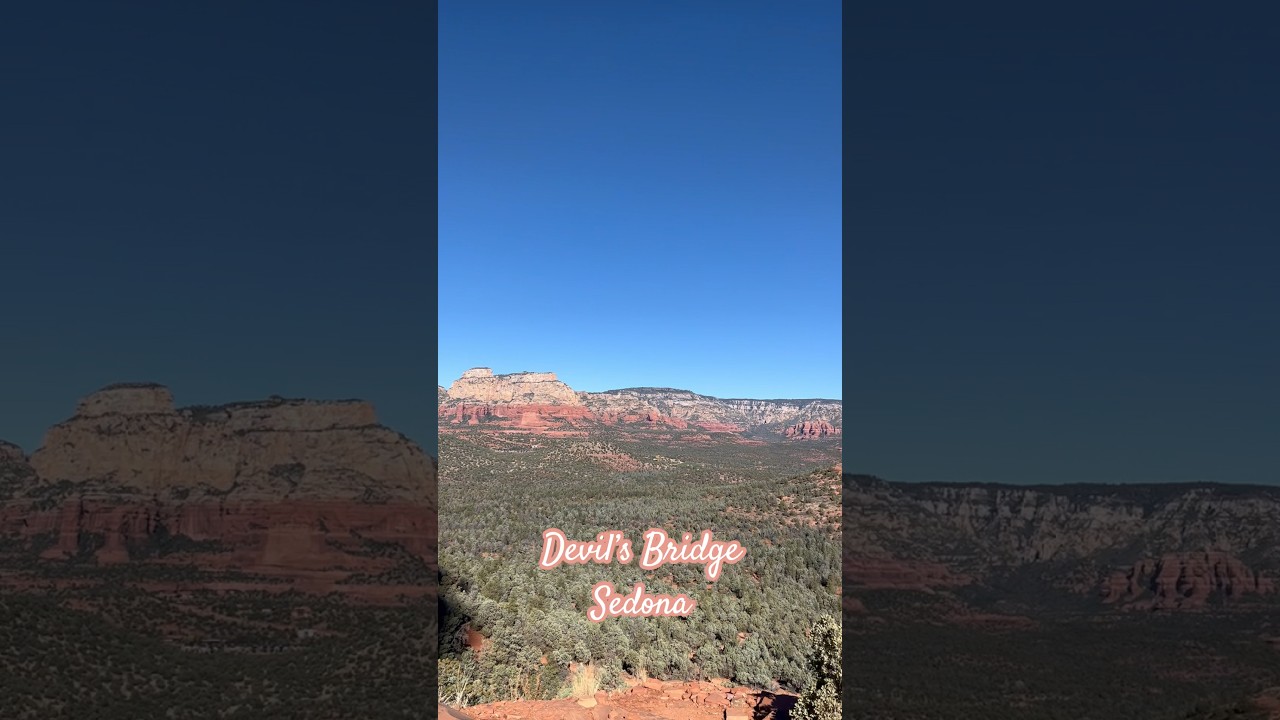 Javelinas spotted on the Devil’s Bridge hike in Sedona, AZ #hiking #wildlife #sedona #devilsbridge