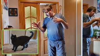 Экономия это тоже заработок. Что насыпать в лоток!? Экономия это тоже заработок. Что насыпать в лоток!?