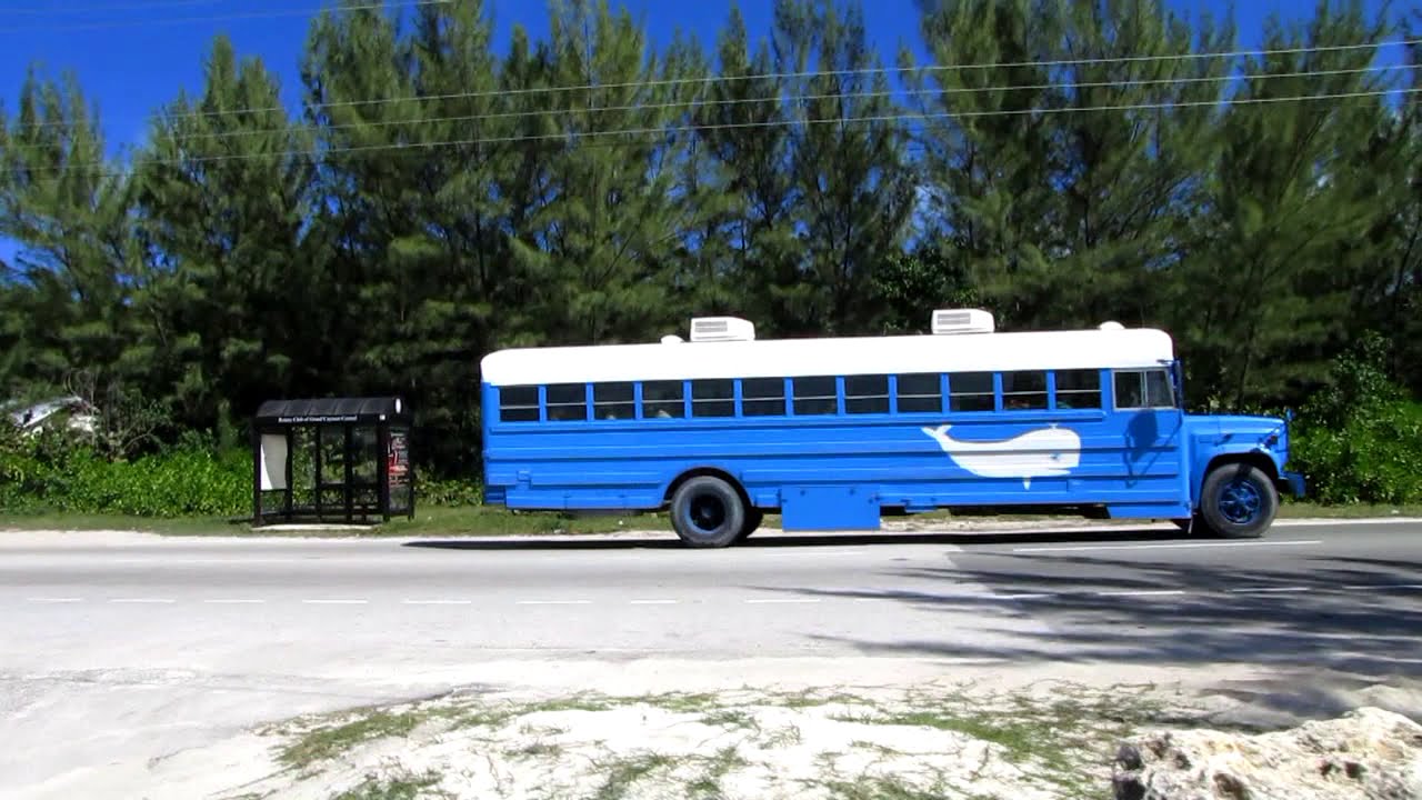 Grand Cayman Excursion Carnival Valor excursion in Grand Cayman YouTube