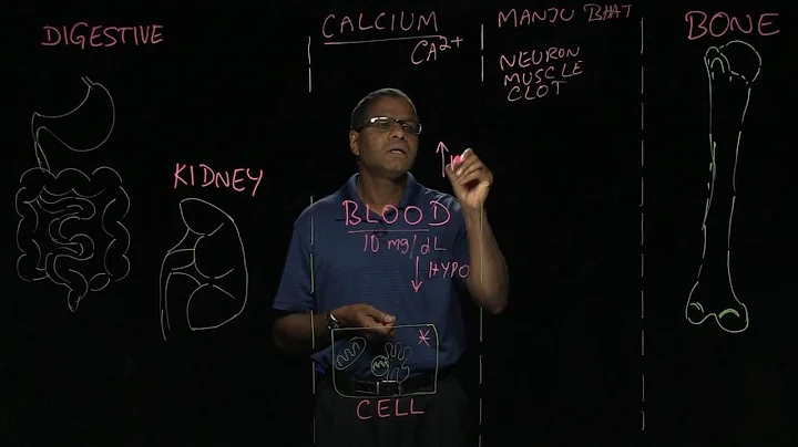 Calcium Effects on the Body: Lightboard - DayDayNews