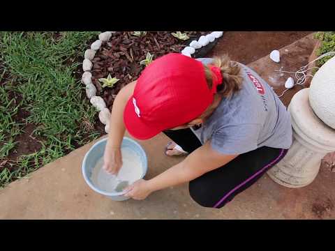 Video: Cómo Embellecer Su Jardín - 2