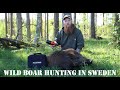 Wild Boar Hunt In Sweden (Vildsvinsjakt i Sverige), with Per Kristensen V315