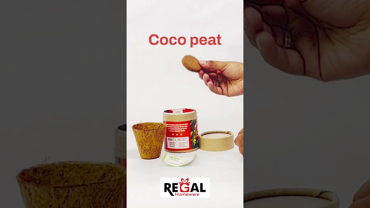 REGAL HOMEWARE Coir Pot, Seed Germination Kits 100% Eco-Friendly Biodegradable Coco Natural Cup kit