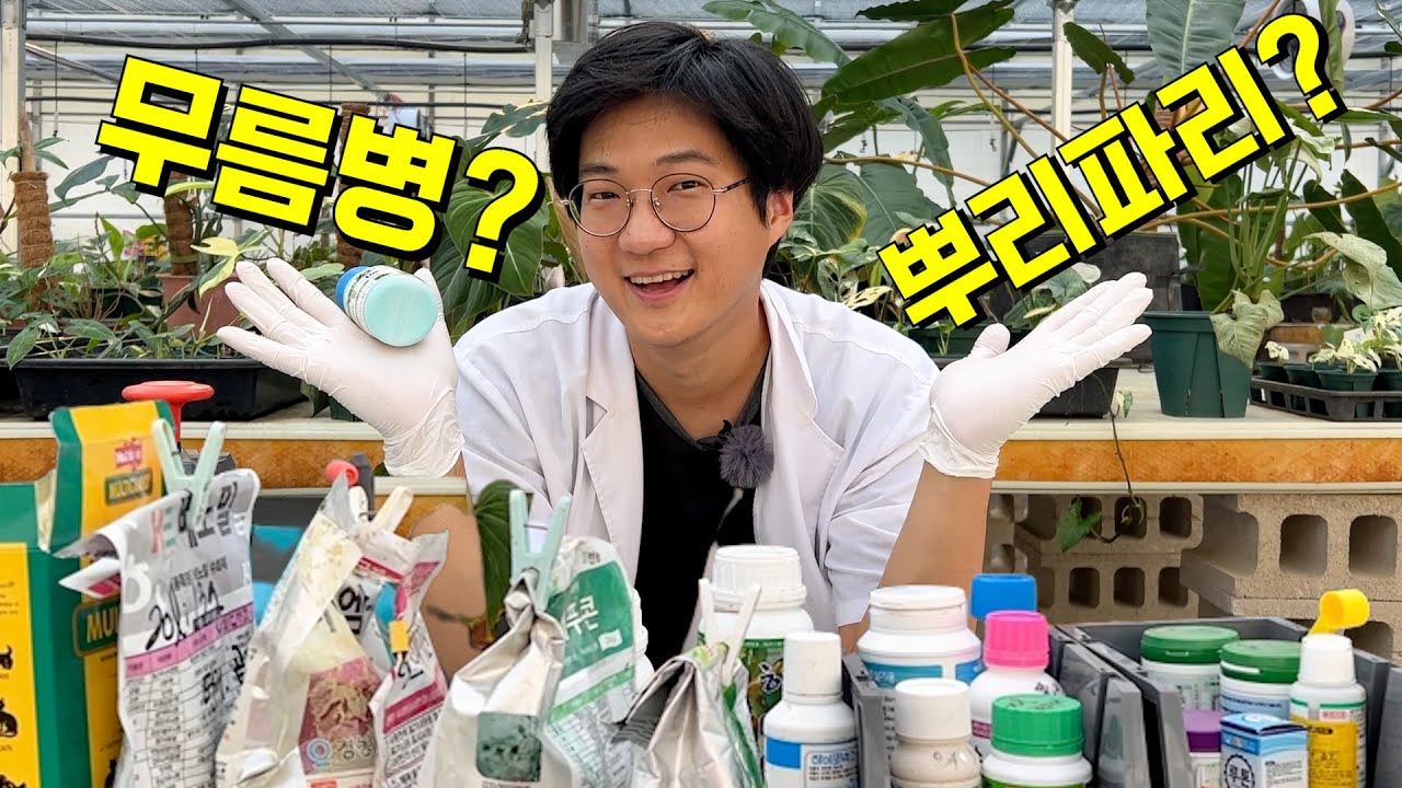 이 영상 하나로 끝!💥 뿌리파리, 응애, 온실가루이, 흰가루병, 무름병 등등 농약의 모든 것