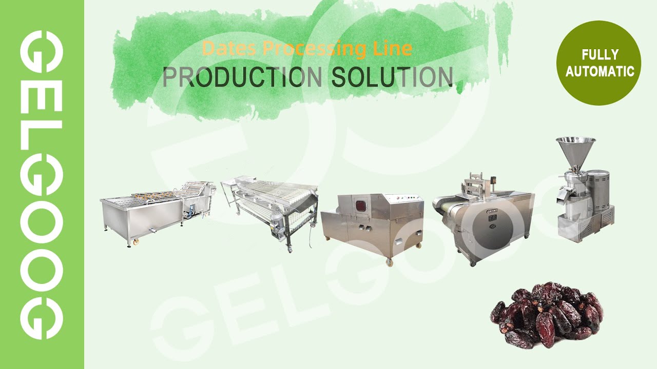 Dates Palm Processing Line Grading Pitting Washing Machine - YouTube