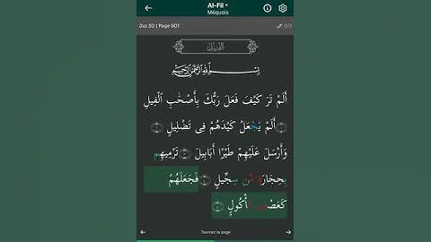 sourate al fil ❤️سورة الفيل ❤️1 B𝐄𝐀𝐔𝐓𝐈𝐅𝐔𝐋 𝐕𝐎𝐈𝐂𝐄🌍