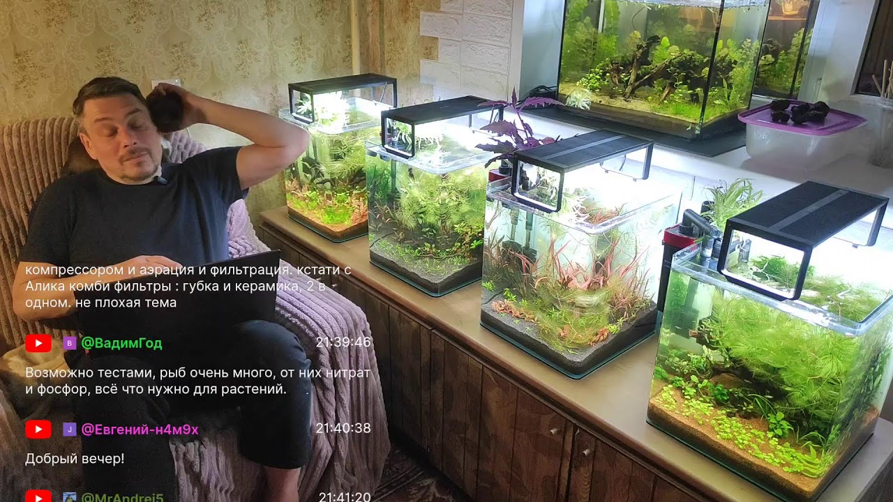 Питательная подложка в моих аквариумах.