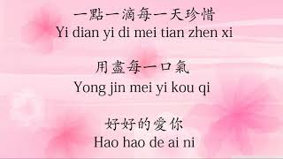 倒數 (Dao Shu) - GEM - pinyin lyrics incl.