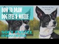 How to Draw Dog Eyes and Muzzle - Pet Portrait with Soft Pastels - With Rita Ginsberg