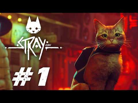 STRAY☆CATです。 I Want to Be a Cat #1 [Stray] - YouTube