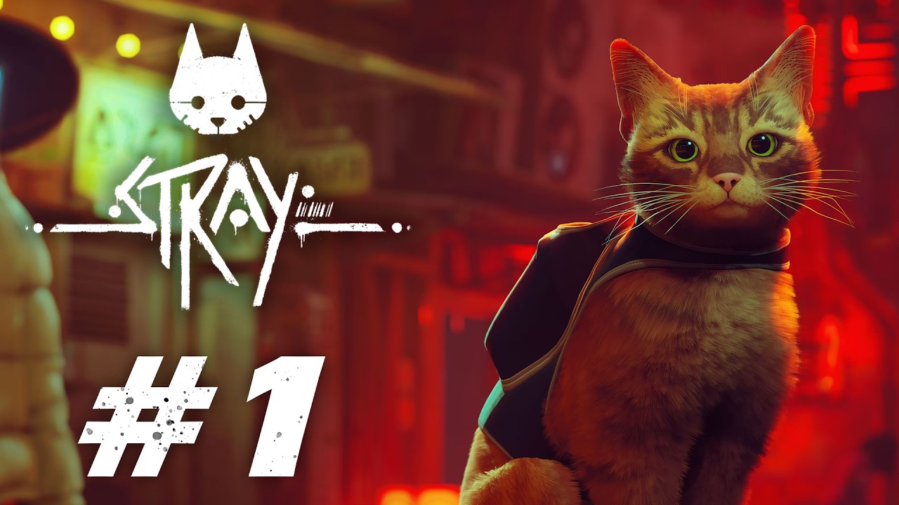 I Want to Be a Cat #1 [Stray] - YouTube