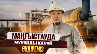 Мұнай және Газ өңдейтін заводтарға шолу.