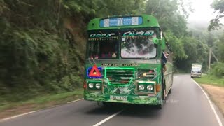 Kola Rajini Bus|Damrajina Bus|Vise kurutta|monara patikki|Maya bus|Srilanka Bus