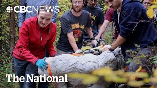 A Giant Dinosaur Skull Was Dug Up In Alberta