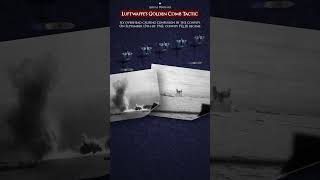 Luftwaffe’s Golden Comb #shorts #luftwaffe #documentary #military #tactical #fypシ #fyp #modernwar