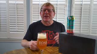 Beer review: Hi Wire Brewing hi pitch IPA