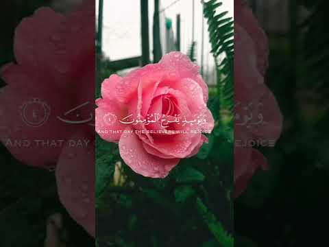 حين يظن الناس أن النهاية اقتربت يأتي نصر الله من حيث لا ي حتسب الرحمن المصحف اكسبلور الرحمن
