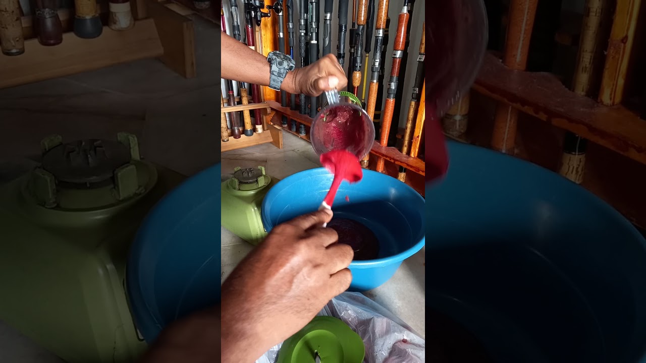 cara menghasilkan Sos Buah Ara..part 1