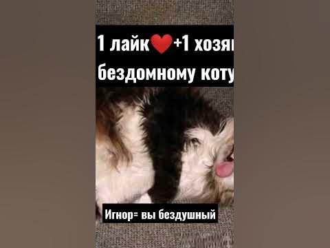 #родителидети #сигма #скала #скаладжонсон - YouTube