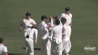 Maxwell snares sharp return catch Maxwell snares sharp return catch