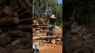 Odun Kesme Ustasının Testere Dişleri, Keskin Bıçaklar Gibi, Düz, Güçlü Ve Doğru Çizgilerle Hareket