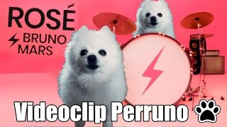 ROSÉ & Bruno Mars - APT. (Videoclip Perruno)